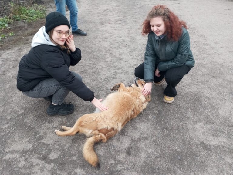 88jHEZ-psSE-APM6eXz7PLdRQBgN0THhDut6Nk1UH52vZKk3PvGniDojLzgxkMI9ZHOq0Q2xFm1tp4mOutNwCwJO